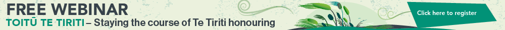 Webinar Email Signature Banner_Toitū Te Tiriti_1000x60px